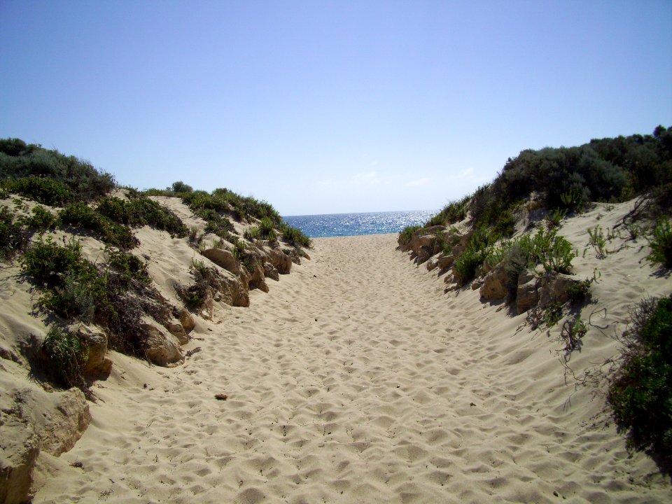 Path through dunes to Preston Beach 2 (E37@WTW2013)