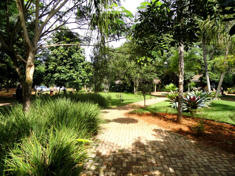 Patio - Jardim Botânico de Brasília - DSC09692