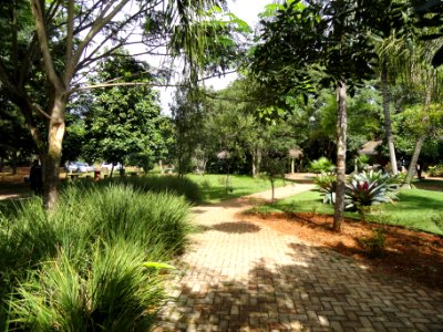 Patio - Jardim Botânico de Brasília - DSC09692 photo