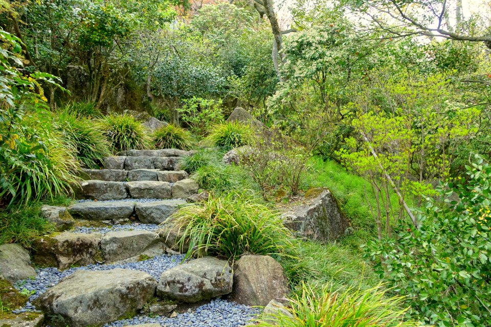 Pathway - Hakuun-do Chaen Tearooms - Gora Park - Hakone, Kanagawa, Japan DSC08514