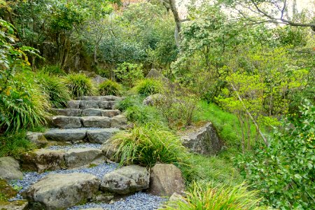 Pathway - Hakuun-do Chaen Tearooms - Gora Park - Hakone, Kanagawa, Japan DSC08514