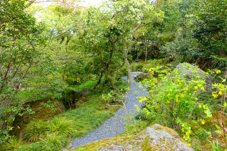Pathway - Hakuun-do Chaen Tearooms - Gora Park - Hakone, Kanagawa, Japan DSC08504