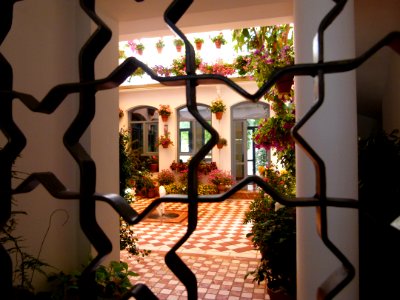 Patio de Cordoue 4