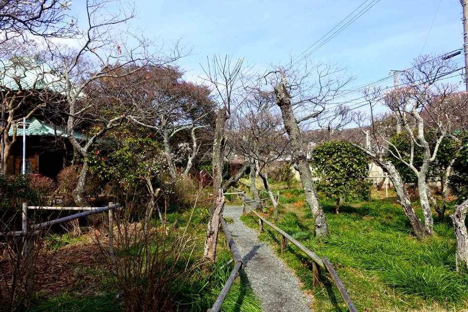 Pathway - Eishō-ji - Kamakura, Kanagawa, Japan - DSC08097