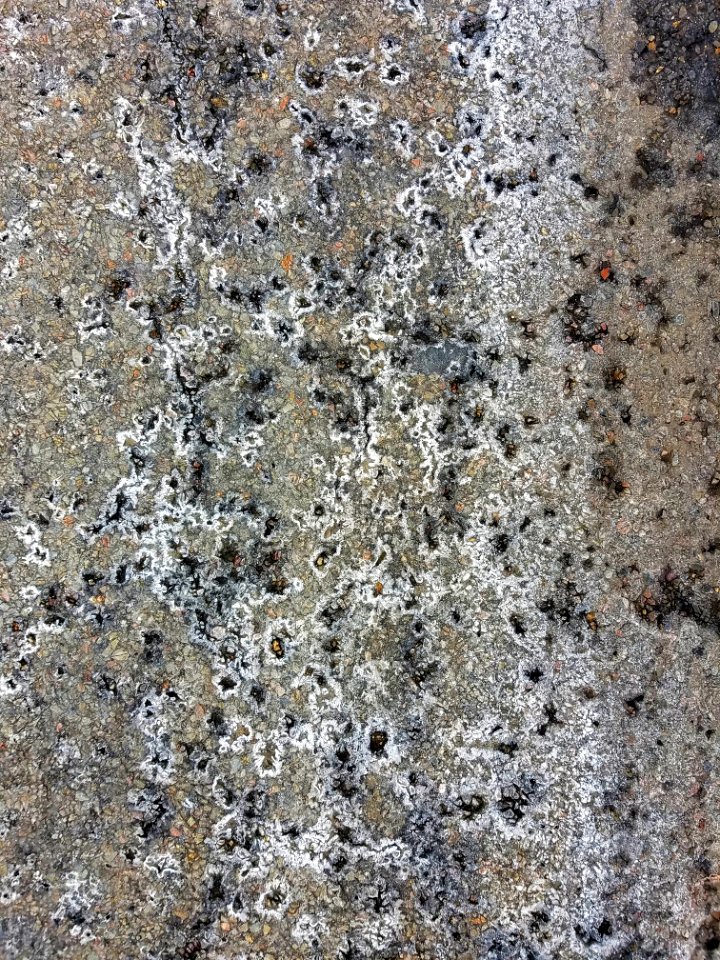 Pavement 6 - Arlington, MA