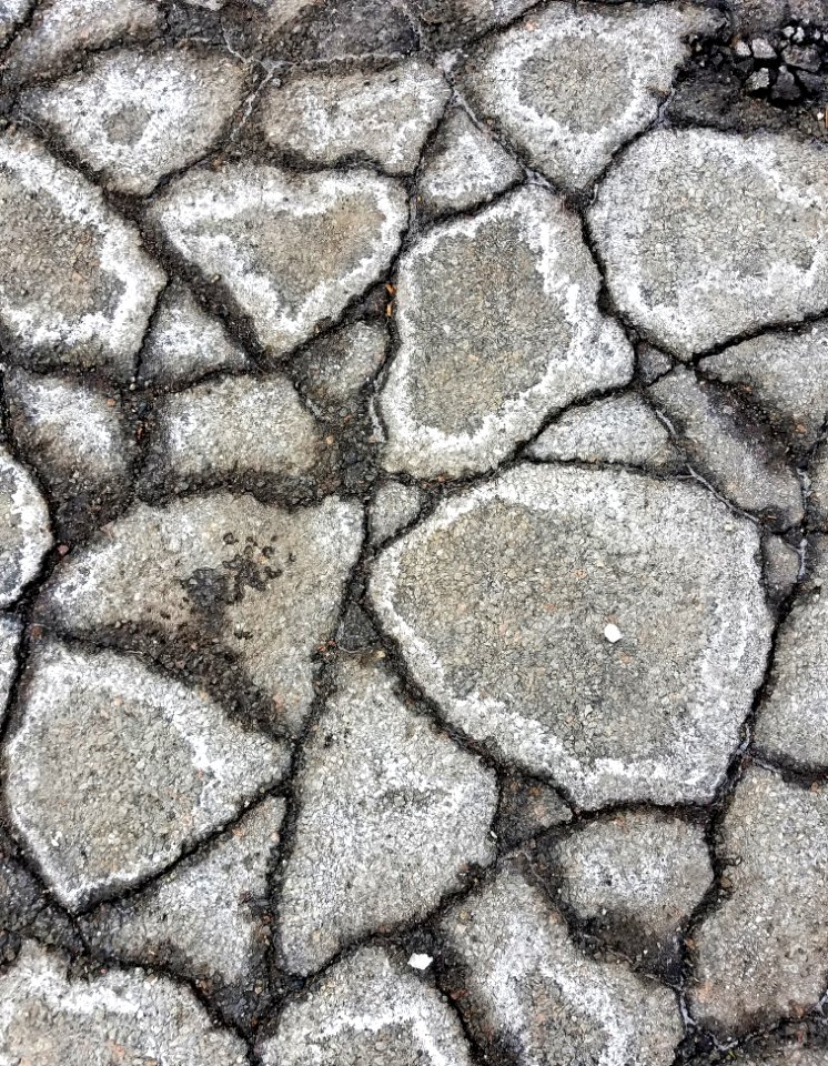 Pavement 7 - Arlington, MA