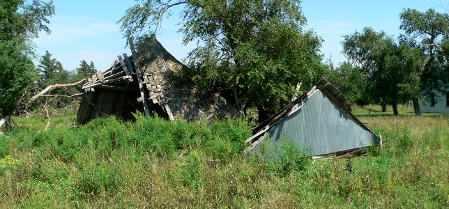Pavelka farmstead shed ruins