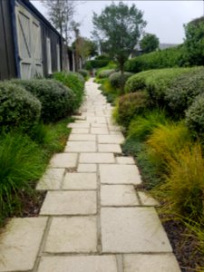 Pathway with native plantings