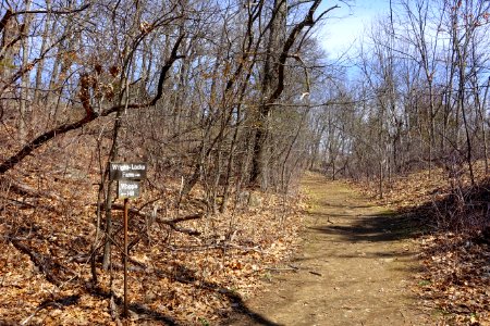 Path - Whipple Hill - Lexington, MA - DSC00278 photo