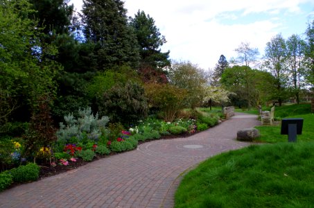 Path in Kew Gardens photo
