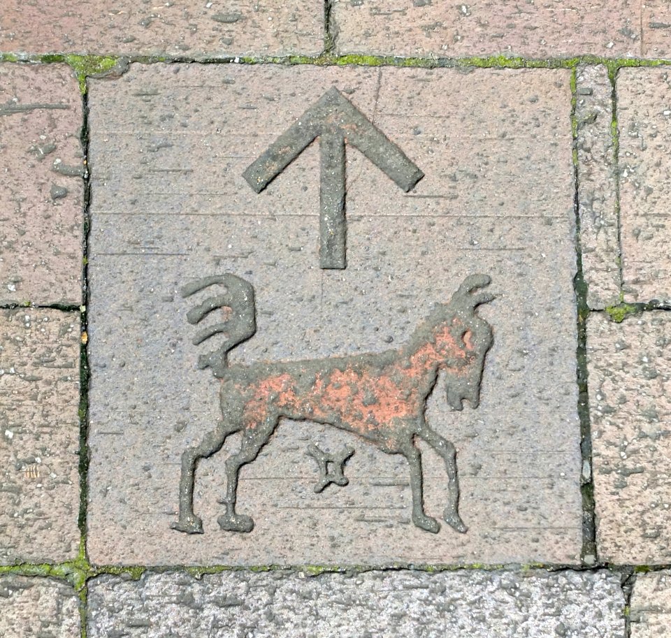Pavement marker to JRA Equestrian Park - Setagya, Tokyo, Japan - DSC09624