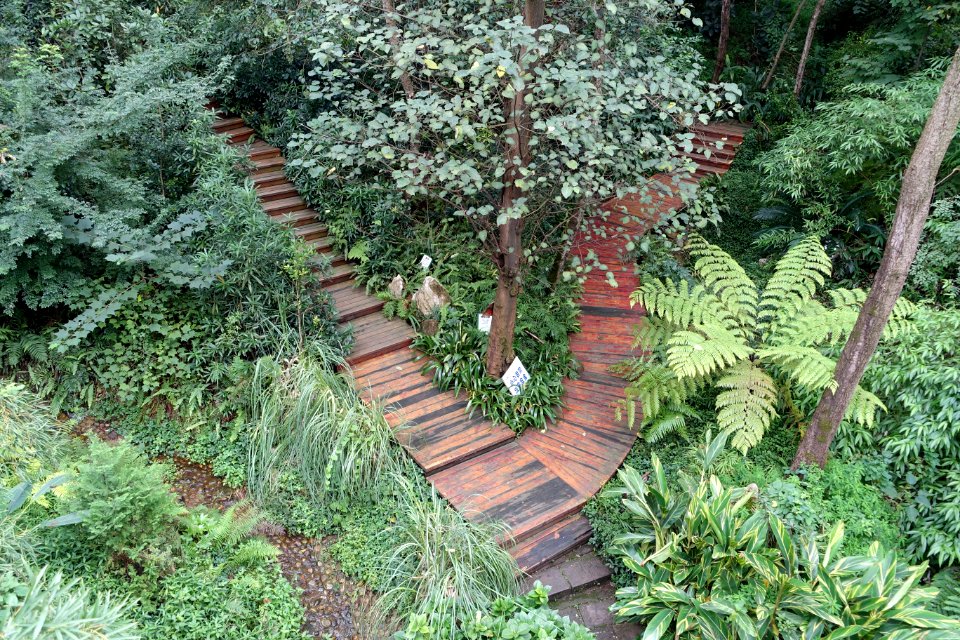 Pathways - Chengdu Botanical Garden - Chengdu, China - DSC03433