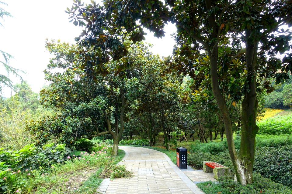 Pathway - Chengdu Botanical Garden - Chengdu, China - DSC03299