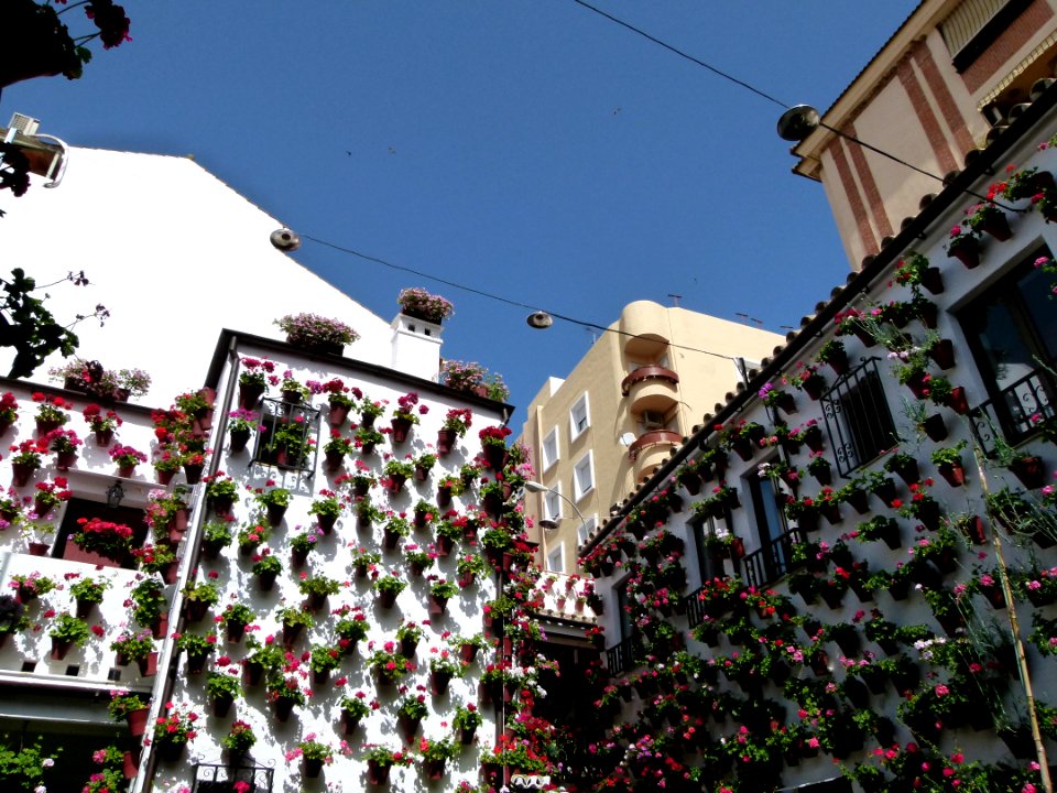 Patios of Cordoba