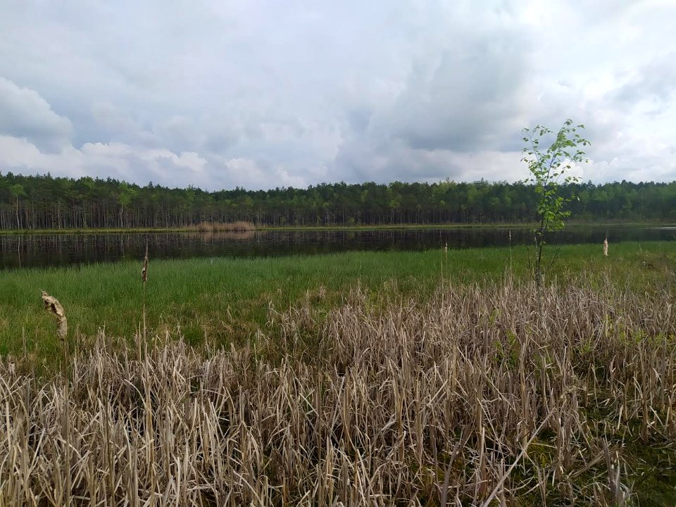 Pastovėlis, ežeras
