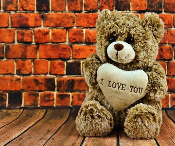 Forever cute bear