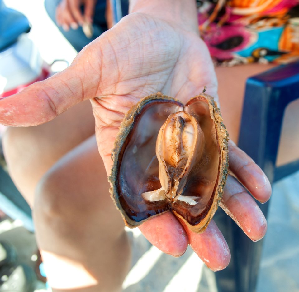 Pata e Cabra Food in Margarita island 2