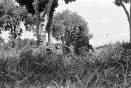 Patrouille verborgen in het veld, Bestanddeelnr 8-5-5