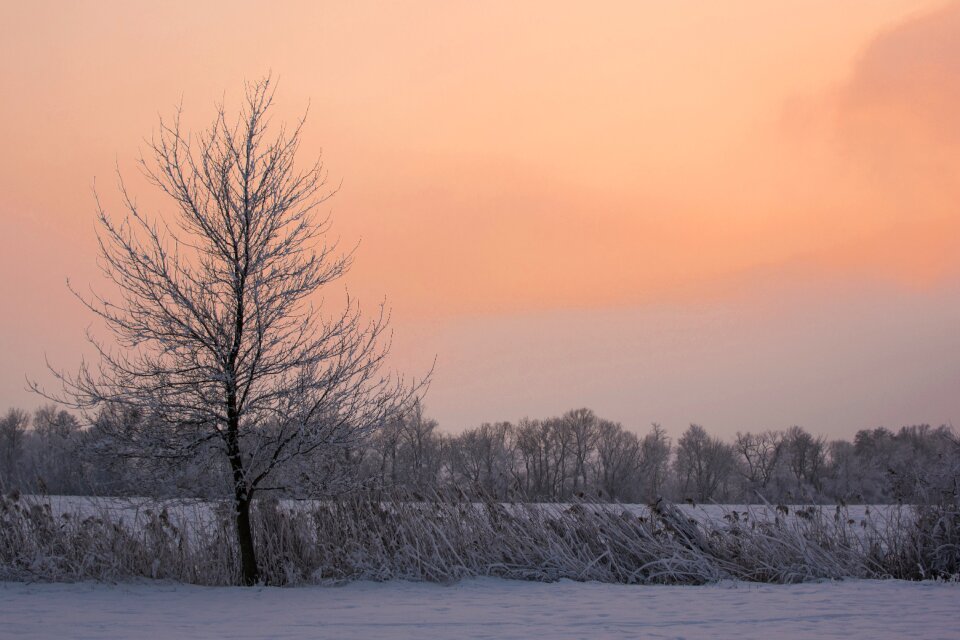 Winter snow sunset