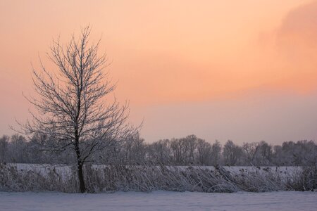 Winter snow sunset photo