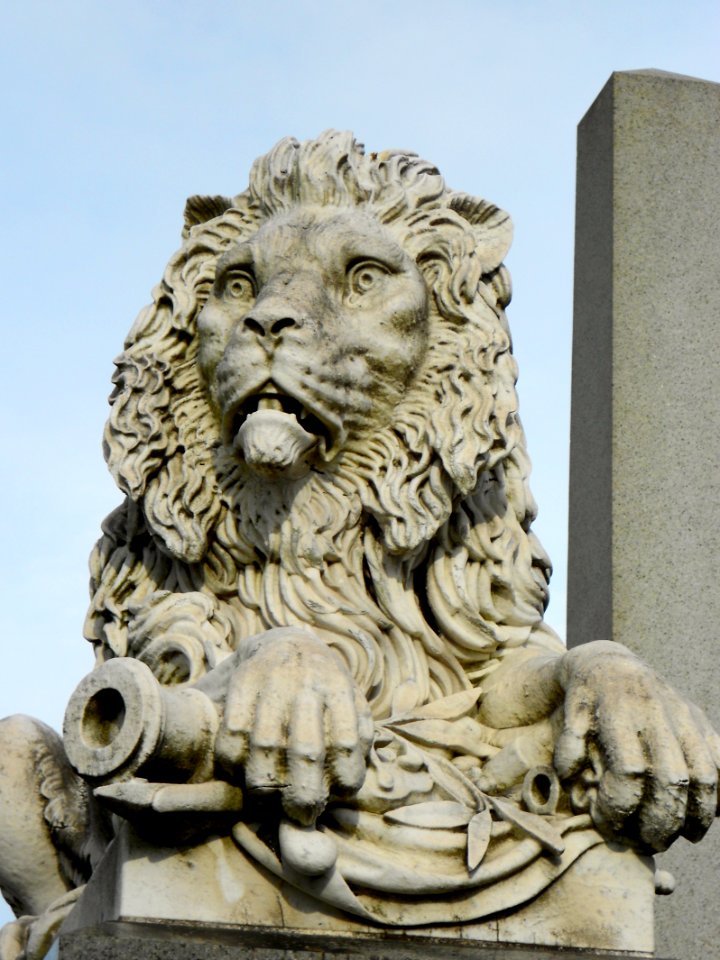 Patterson lion LH Philly