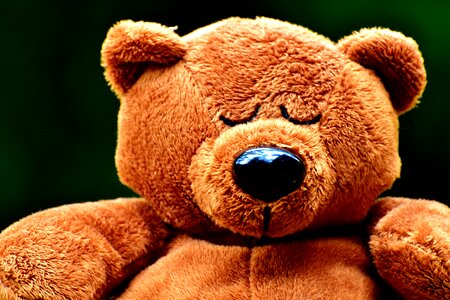 Soft toy teddy bear plush photo