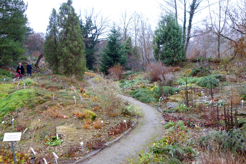 Pathway - Botanischer Garten, Dresden, Germany - DSC08660