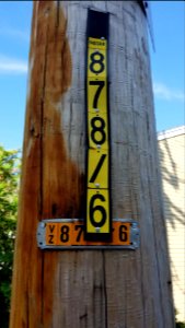Passive aggressive - Utility pole - Arlington, MA - 20200623 091226