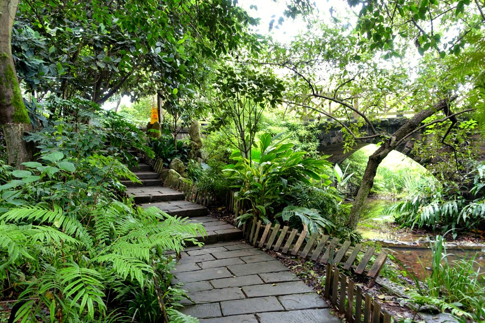 Pathway - Chengdu Botanical Garden - Chengdu, China - DSC03224