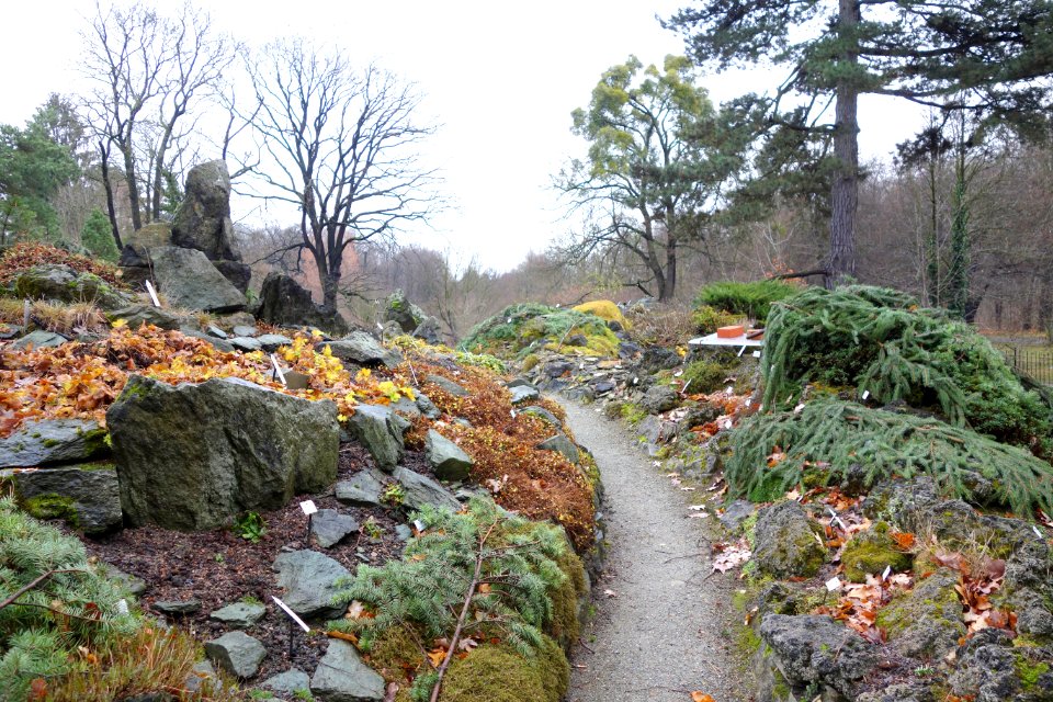 Pathway - Botanischer Garten, Dresden, Germany - DSC08681