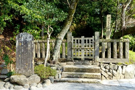 Pathway - Tsurugaoka Hachiman-gū - Kamakura, Kanagawa, Japan - DSC08348