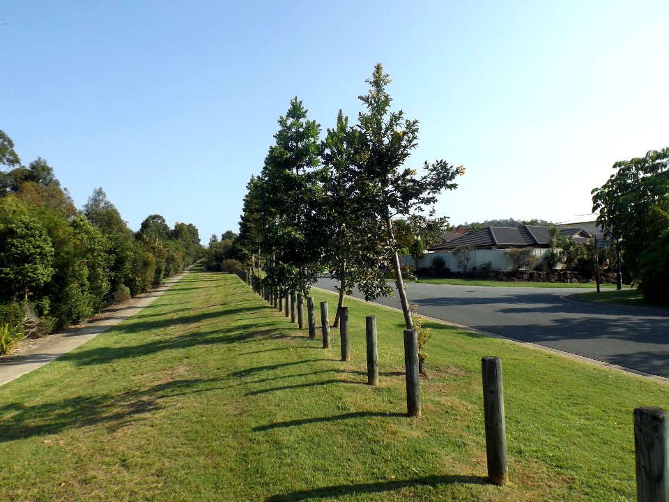 Pathway along Asperia Street at Reedy Creek, Queensland