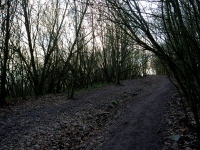 Path at Drachenberg on 2019-12-18 06