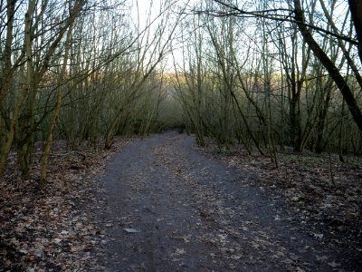 Path at Drachenberg on 2019-12-18 04