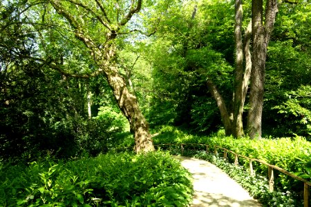 Pathway - Prior Park - Bath, England - DSC09751