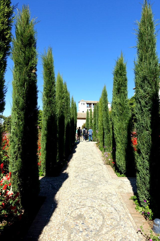 Patio del Ciprés de la Sultana (Generalife) - Alhambra, Granada, Spain - DSC07763