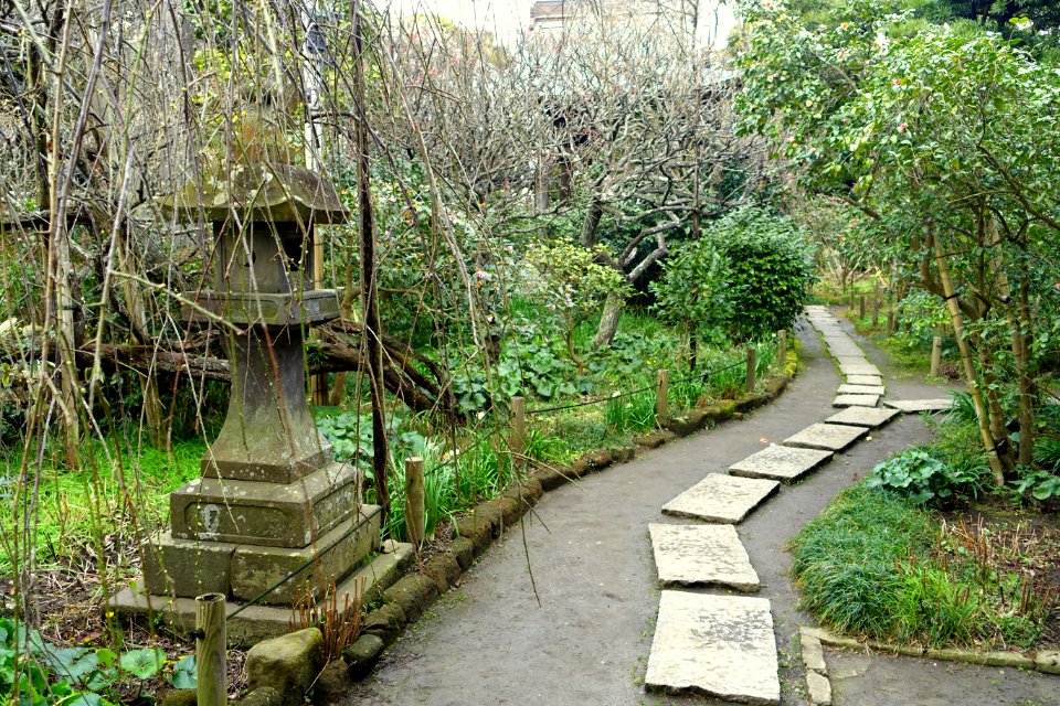 Pathway - Hokai-ji - Kamakura, Kanagawa, Japan - DSC08445