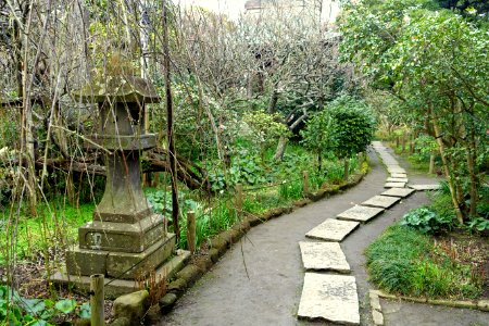 Pathway - Hokai-ji - Kamakura, Kanagawa, Japan - DSC08445