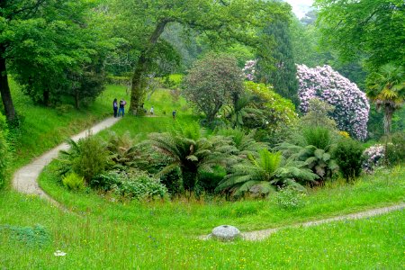 Pathway - Glendurgan Garden - Cornwall, England - DSC01986