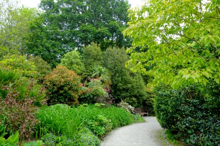 Pathway - Glendurgan Garden - Cornwall, England - DSC01761