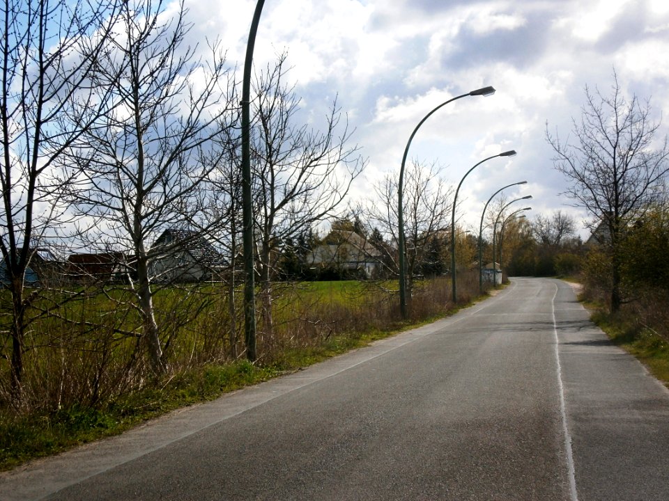 P4170113 LindenbergerW