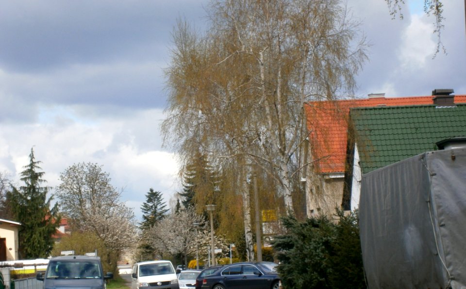 P4170131 SulzerStr