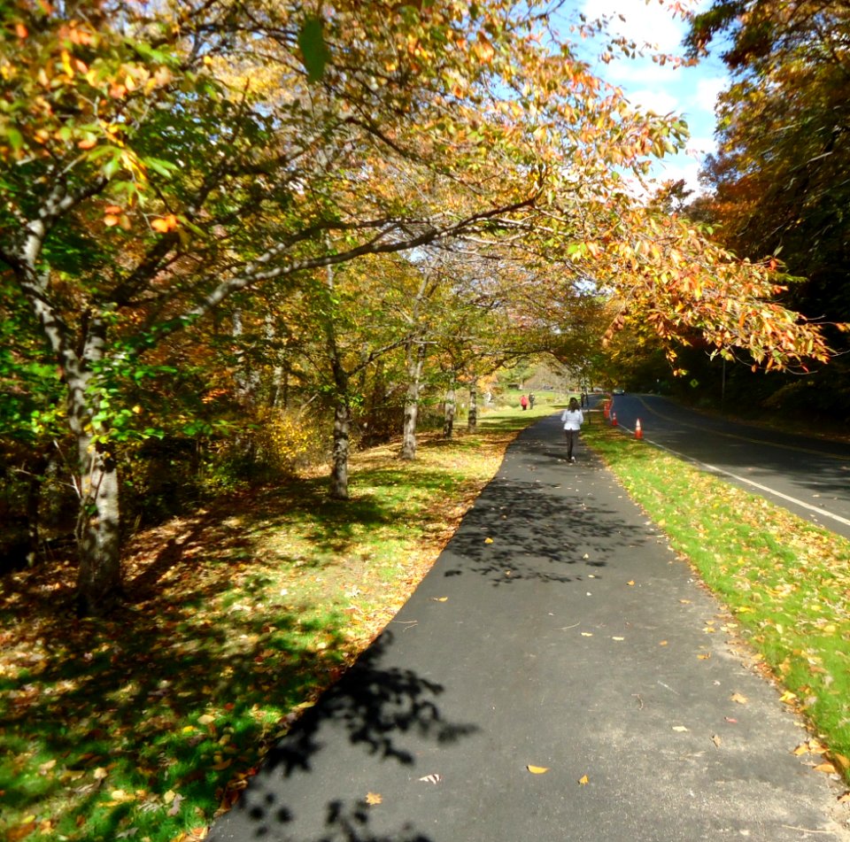 Pathway in autumn in Echo Lake Park in Mountainside New Jersey