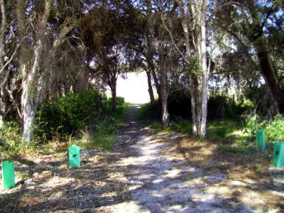 Path down to Lake Preston 1 (E37@WTW2013)