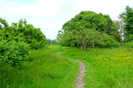 Pathway - Monk's House - Rodmell, East Sussex, England - DSC05209