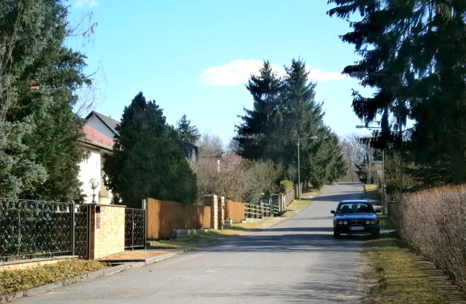 P3190027-Schalauer