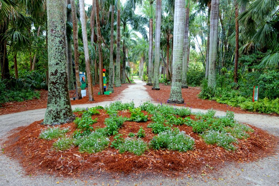Pathway - McKee Botanical Garden - Vero Beach, Florida - DSC03228