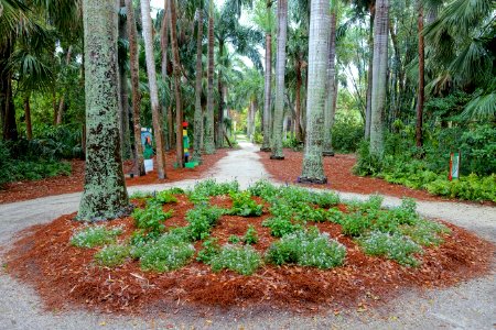 Pathway - McKee Botanical Garden - Vero Beach, Florida - DSC03228