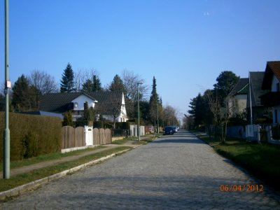 P4060053 Str39 n