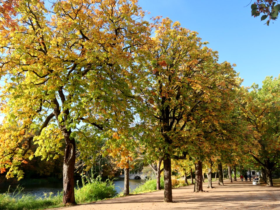 Październik 2019 Łazienki, 13